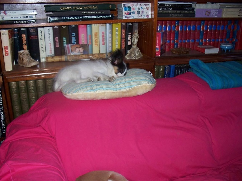 Publication : Du Domaine De Hunaudaye Auteur : Ledewyn Liliane