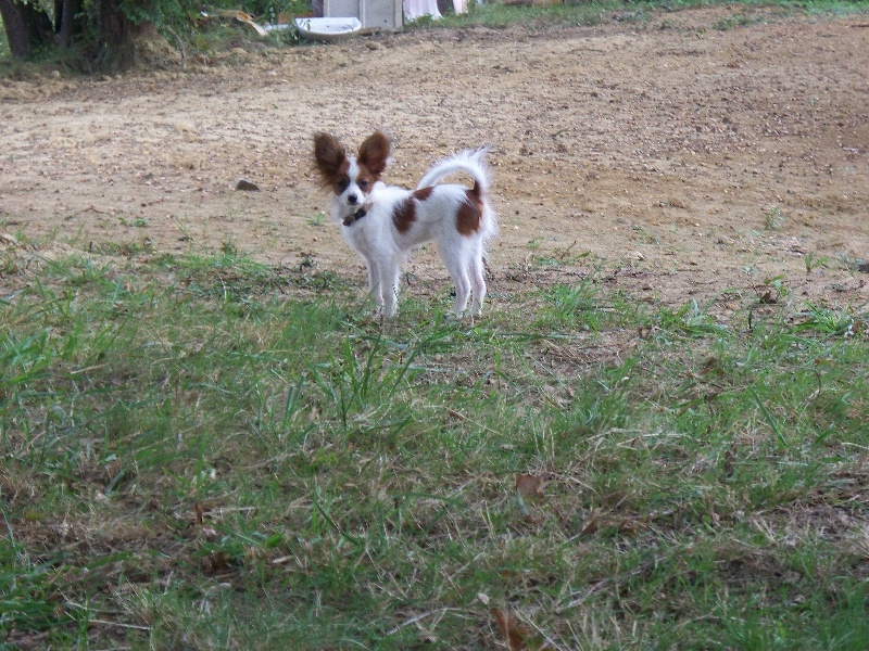 Publication : Du Domaine De Hunaudaye