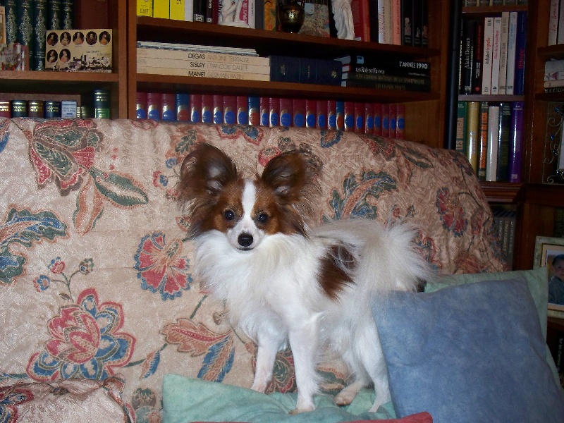 Publication : Du Domaine De Hunaudaye