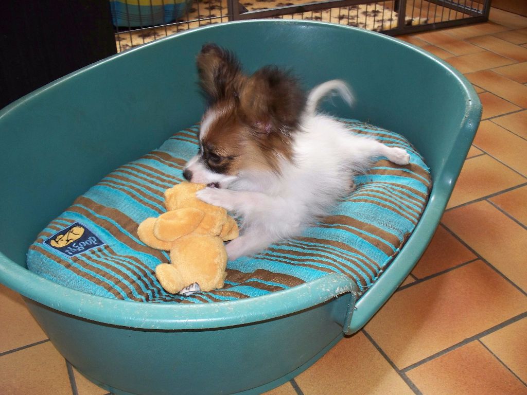 Publication : Du Domaine De Hunaudaye Auteur : Ledewyn Liliane