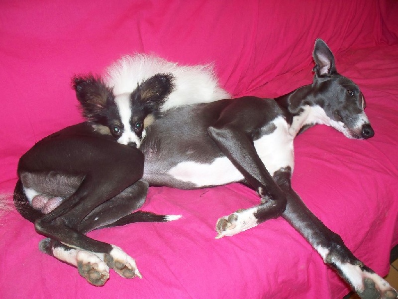 Publication : Du Domaine De Hunaudaye Auteur : Ledewyn Liliane