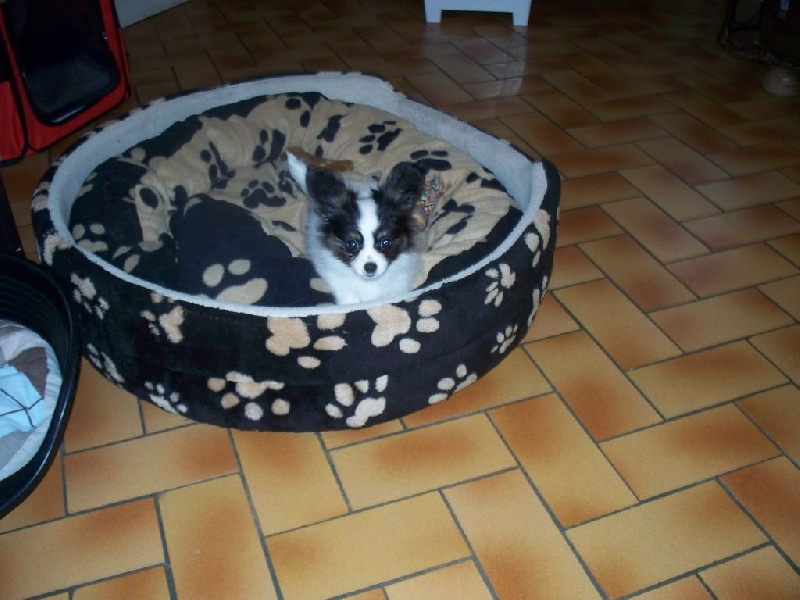 Publication : Du Domaine De Hunaudaye Auteur : Ledewyn Liliane