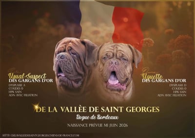de la vallée de Saint Georges