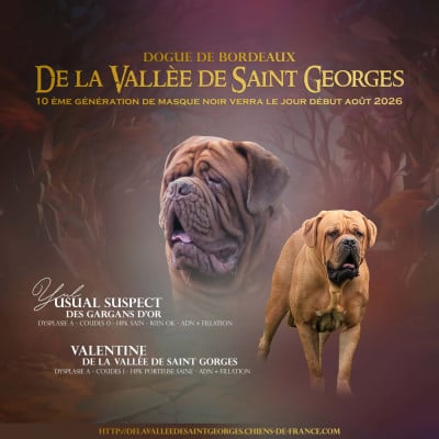 de la vallée de Saint Georges