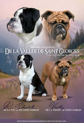 de la vallée de Saint Georges