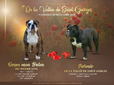 de la vallée de Saint Georges