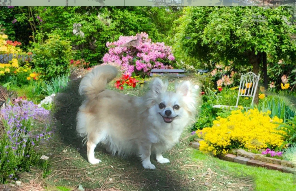 Publication : du Vallon de Beaumont