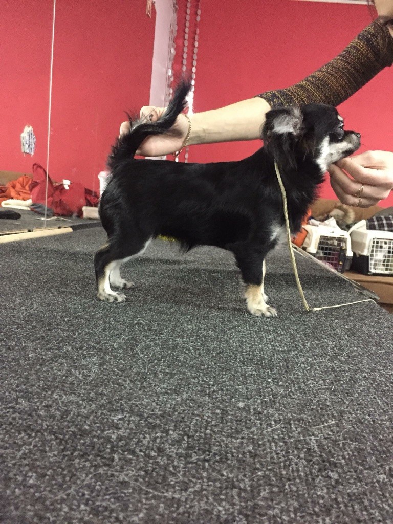 Publication : du Vallon de Beaumont