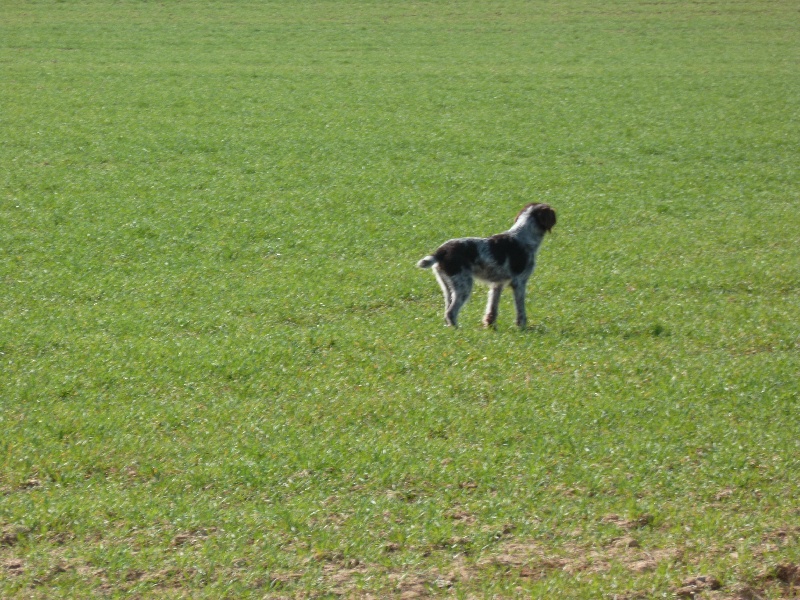 Publication : des Marais De Kerglien Auteur : trucios
