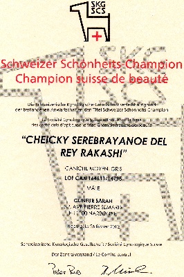des Cheycken's Grey De Clea - Champion de Suisse, mon Cheickynou !!!