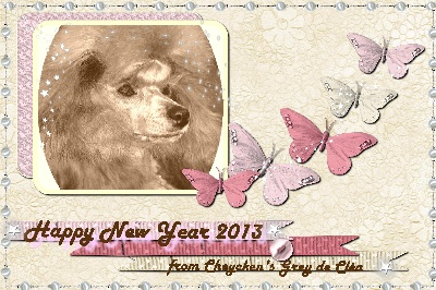 des Cheycken's Grey De Clea - Happy New Year 2013 !!!!
