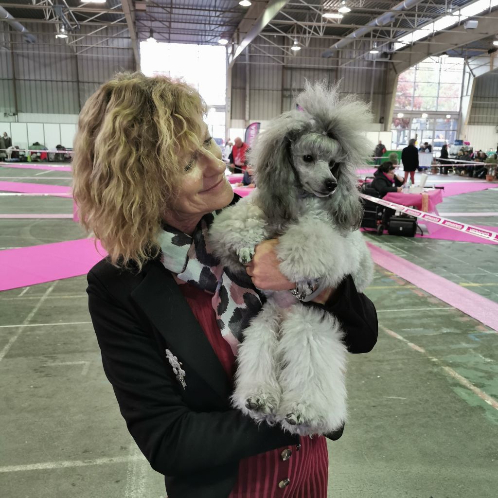 CH. Okimma africa des Cheycken's Grey De Clea - Classe inter Cacs / Rcacib