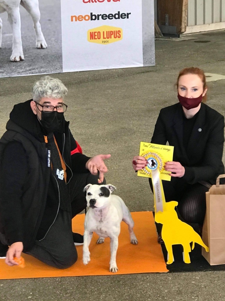 Praxidice karmagirl forkriss de Fambuena Didaho - 3 EME EXCELLENT CLASSE INTERMEDIARE + TAN