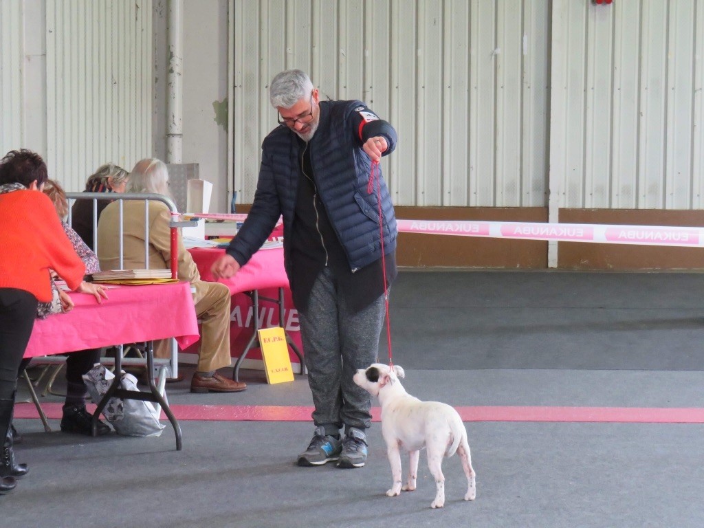 Praxidice karmagirl forkriss de Fambuena Didaho - Classe baby femelles Très Prometteur meilleur baby