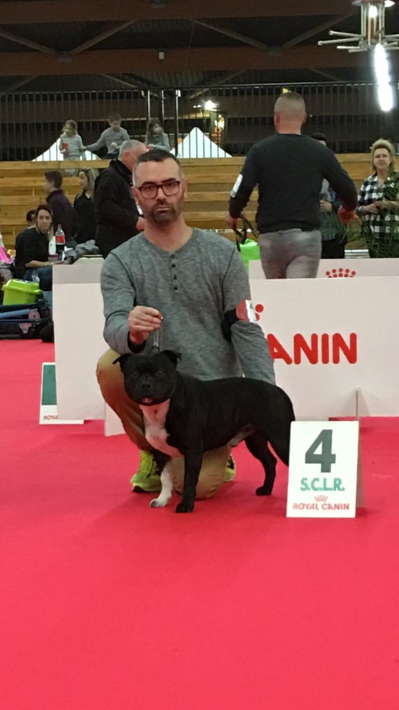 Lolo poppy satori de Fambuena Didaho - 4 eme EXCELLENT Classe OUVERTE