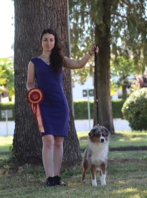 Publication : du Mas Karel