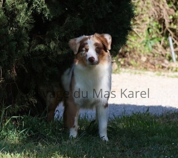 Appalaches du Mas Karel