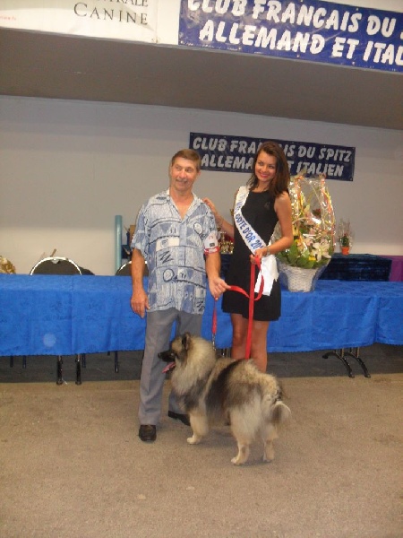 CH. Lucky vom zarenhof - Classe Intermediaire 1er Excellent C.A.C. - R.C.A.C.I.B.