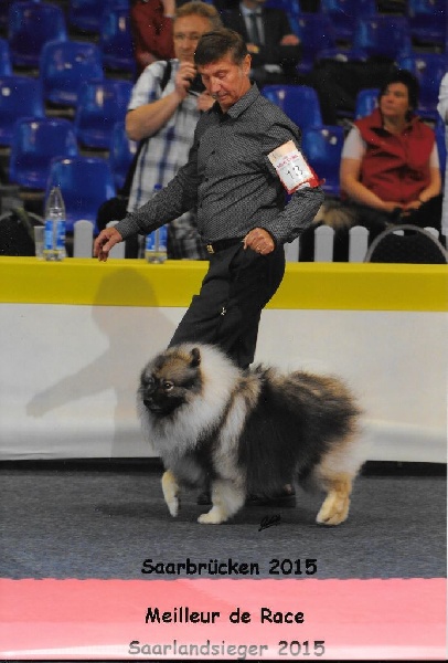 CH. Lucky vom zarenhof - Classe Ouverte : 1er Exc - V.D.H. - C.A.C - CACIB - B.O.B .