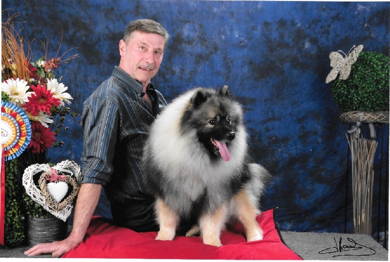 CH. Lucky vom zarenhof - Classe Intermédiaire 1er Excellent C.A.C.L. - C.A.C.I.B.