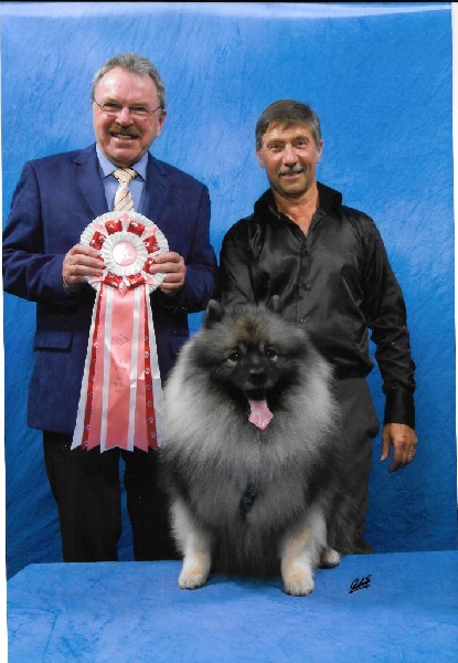 CH. Lucky vom zarenhof - Classe Ouverte : 1er Exc - V.D.H. - C.A.C - B.O.B .