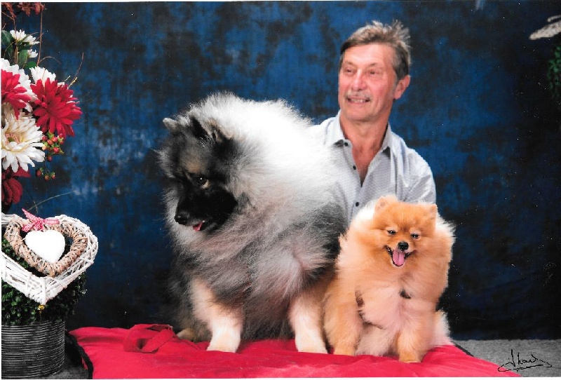 CH. Lucky vom zarenhof - Classe Ouverte C.A.C. - C.A.C.I.B. - B.O.B.