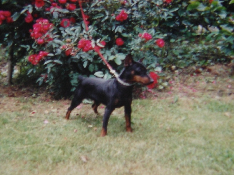 Ulysse du Jardin des Hespérides