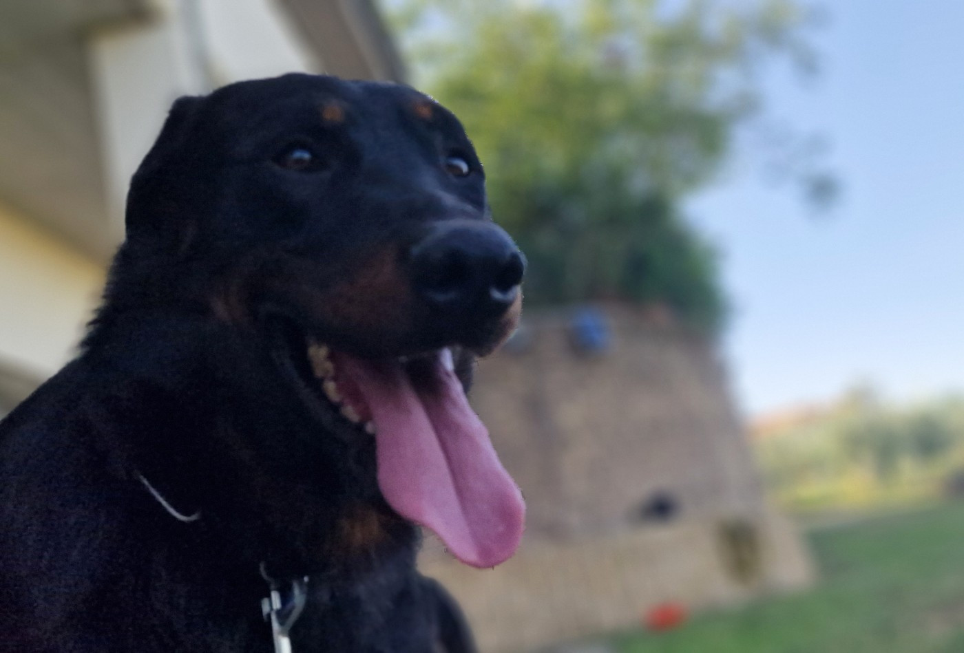 Tuor Des Gardiens De Rome