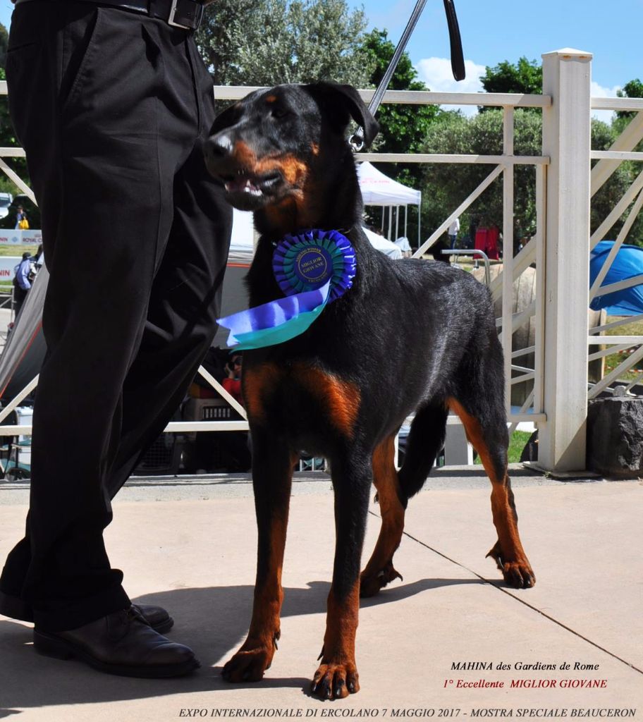 Mahina Des Gardiens De Rome - 1ERE EXCELLENT - MEILLEUR JEUNE