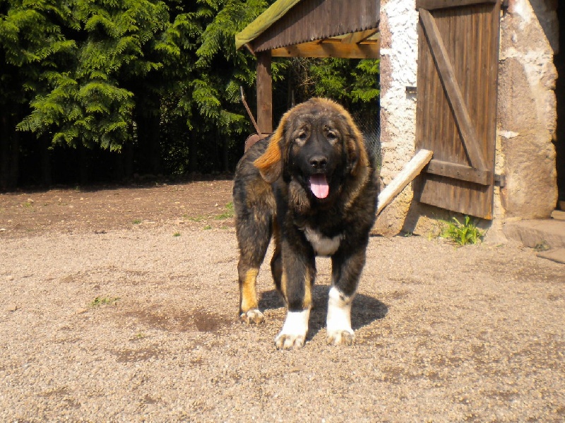 Publication : Des Rivieres De Thalos