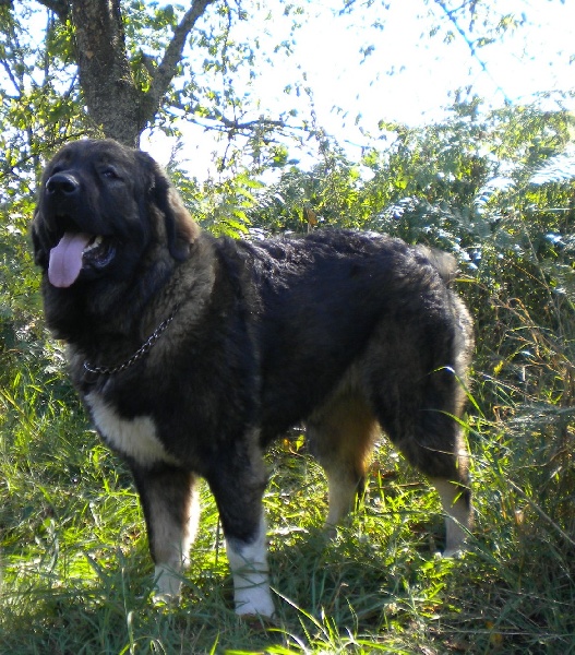 Publication : Des Rivieres De Thalos