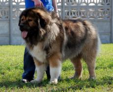 Publication : Des Rivieres De Thalos