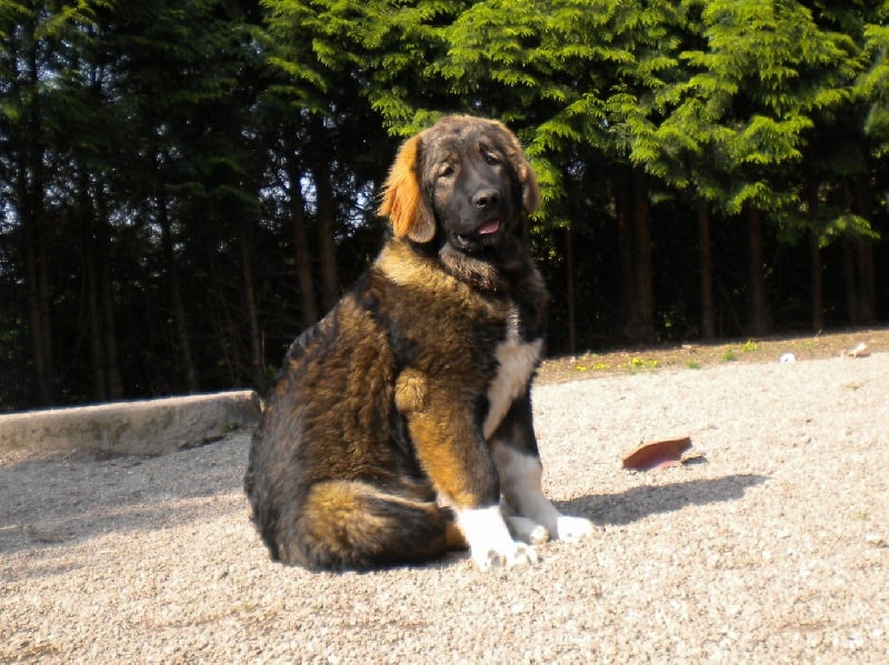 Publication : Des Rivieres De Thalos