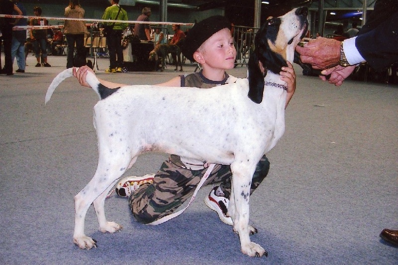 Publication : Du Coteau De La Versenne Auteur : Coteau De La Versenne
