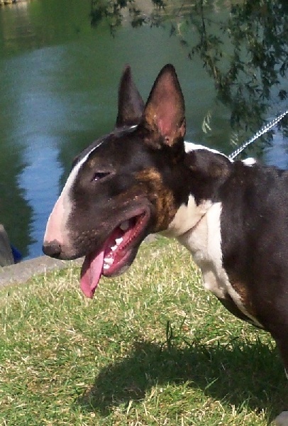 Publication : Bulletblanc Auteur : Jade ,12 mois