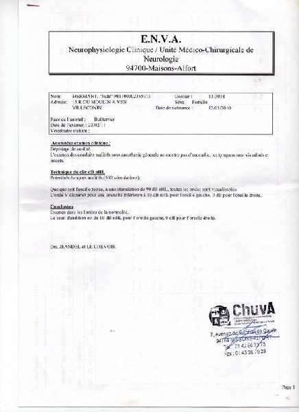 Publication : Bulletblanc Auteur : Jade ,12 mois