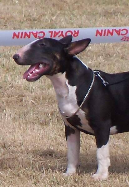 Publication : Bulletblanc Auteur : Jade ,12 mois