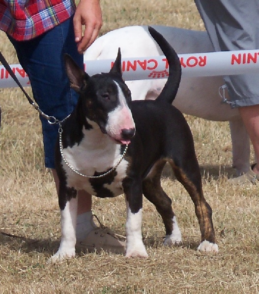 Publication : Bulletblanc Auteur : Jade ,12 mois