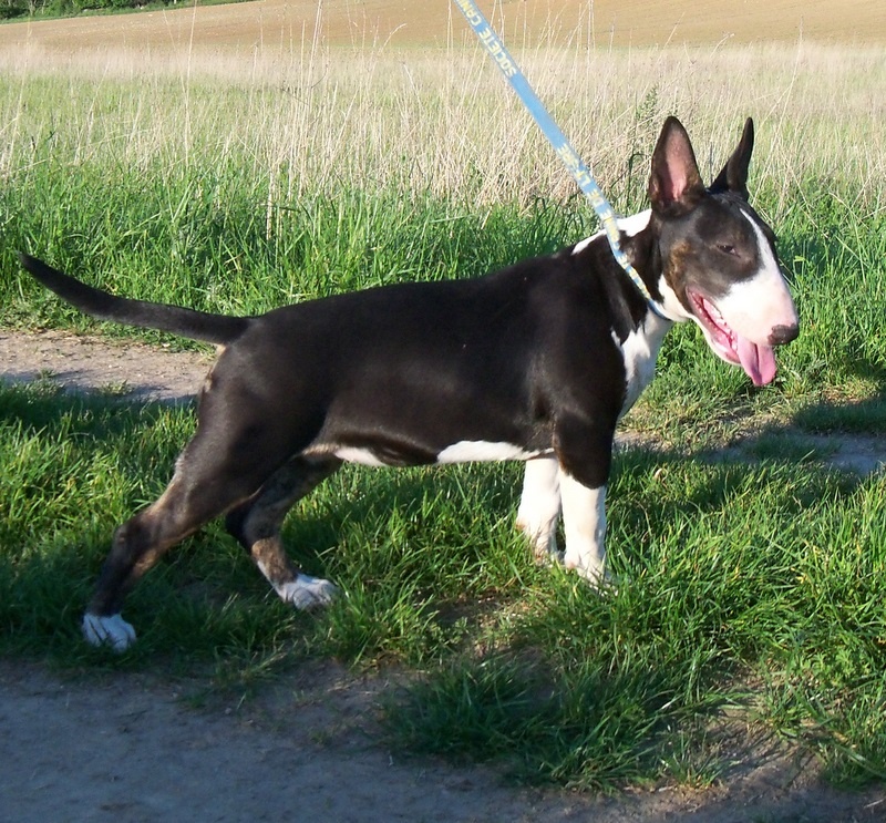 Publication : Bulletblanc Auteur : Jade ,12 mois