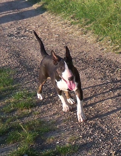 Publication : Bulletblanc Auteur : Jade ,12 mois