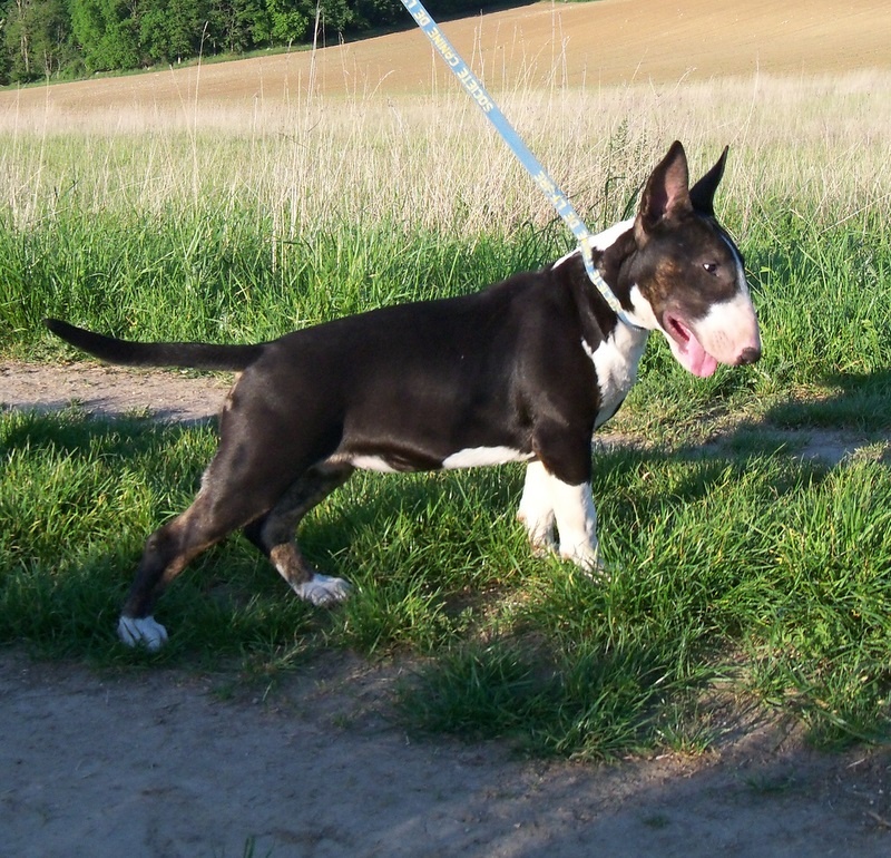 Publication : Bulletblanc Auteur : Jade ,12 mois