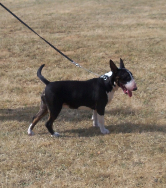 Publication : Bulletblanc Auteur : Jade ,12 mois