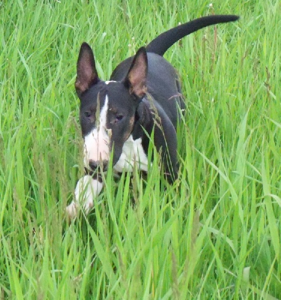 Publication : Bulletblanc Auteur : Jade ,12 mois