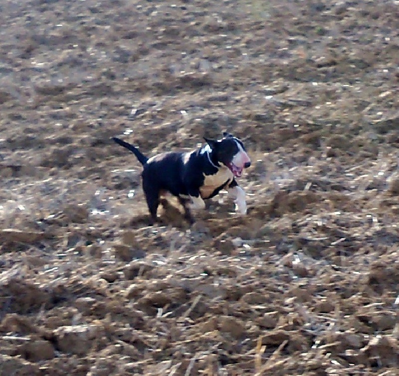 Publication : Bulletblanc Auteur : Jade ,12 mois