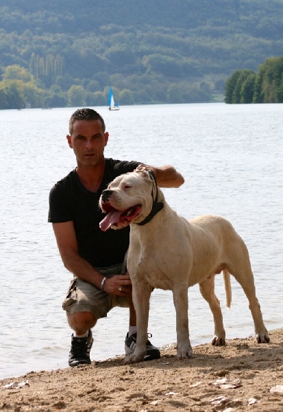 Publication : Perro Del Bossadea Auteur : Sophie Lefevre