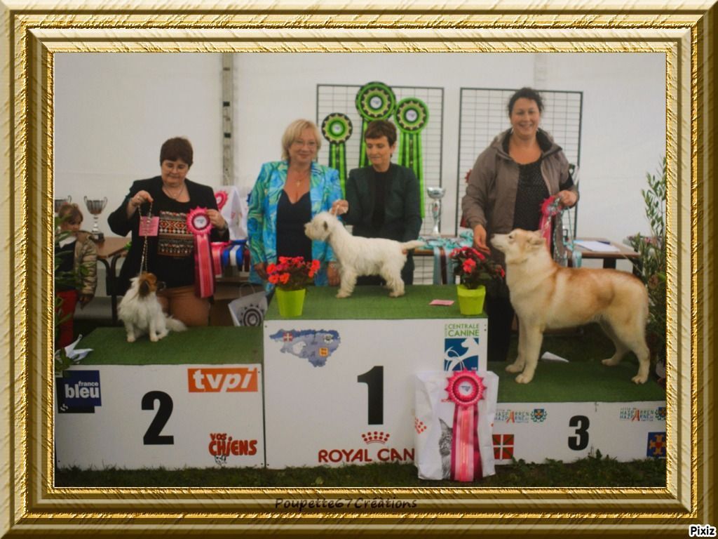 Publication : au Royaume D'ultra Auteur : françoise au royaume d'ultra