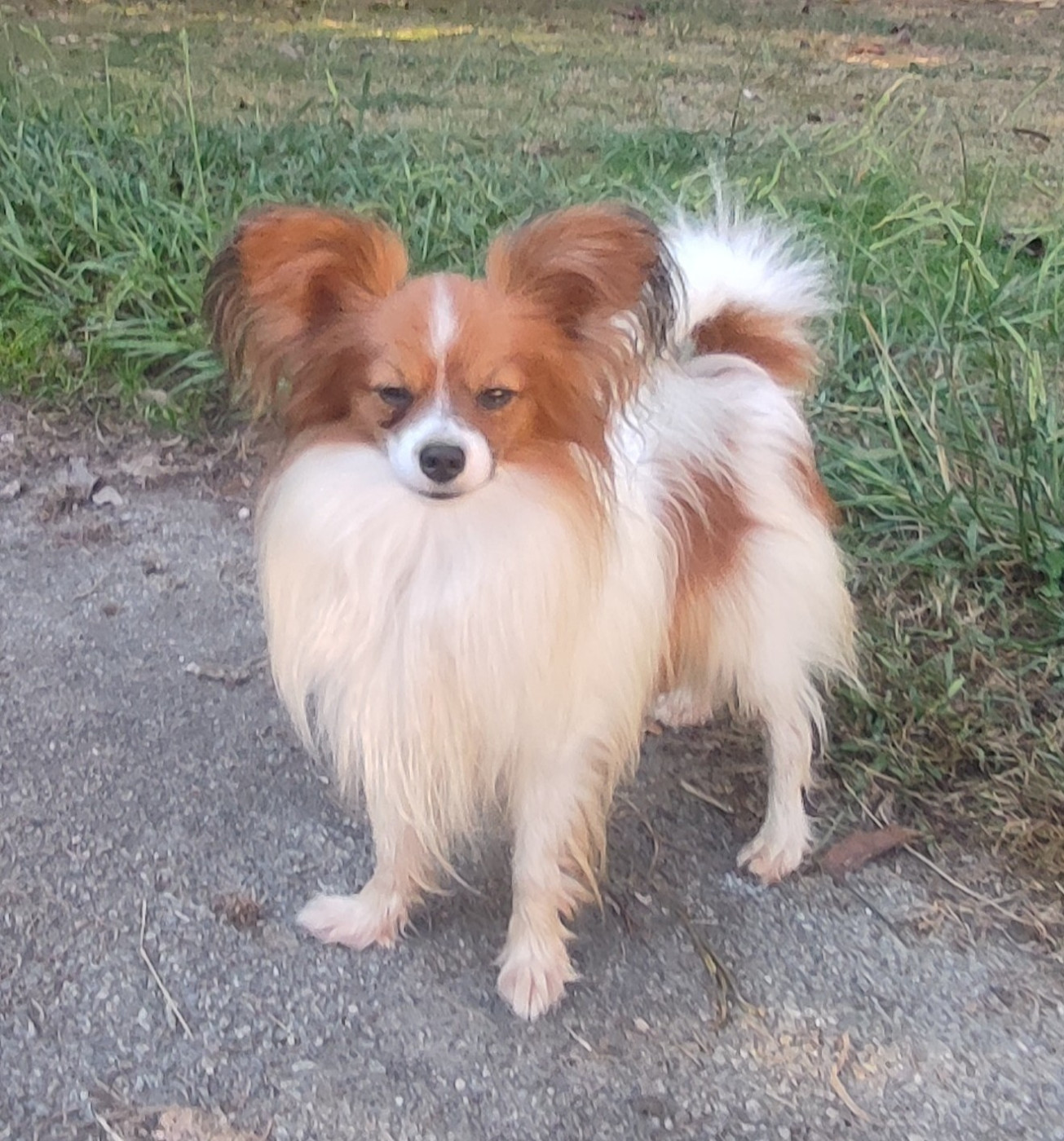 Vianney soprano des rizieres d'ha tay