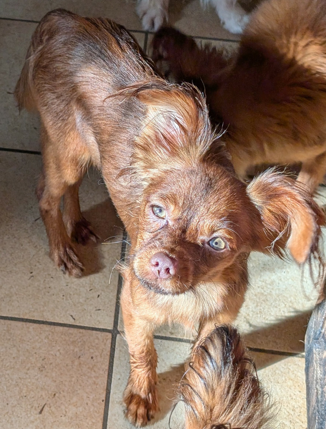 Alazir De la Nouknoukerie