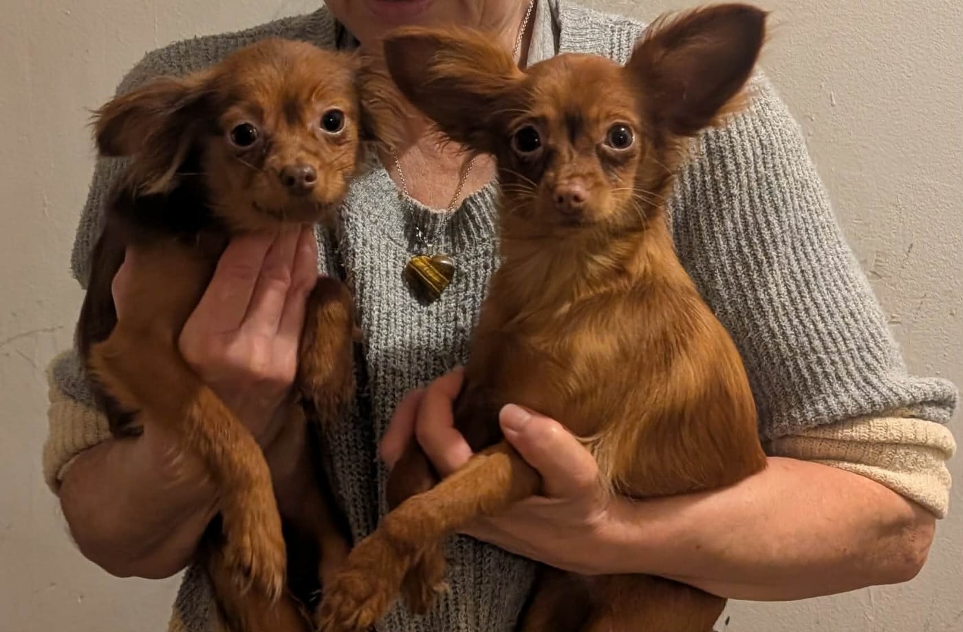 Annouchka-Toupie au Royaume D'ultra