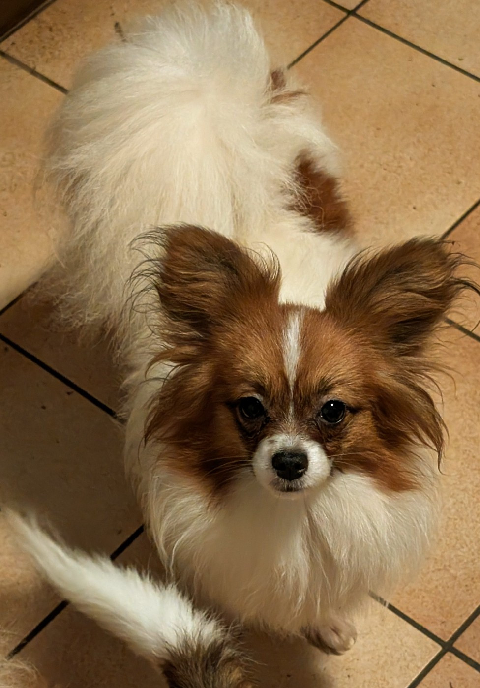 Valmy-tyffanie au Royaume D'ultra